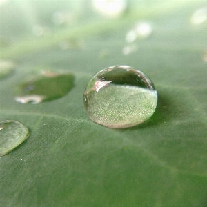 水 自然 草 落とす 写真