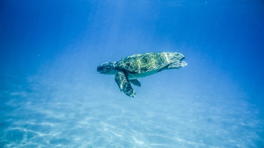 海 水 自然 海洋 写真