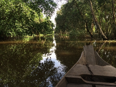 Water forest countryside river Photo