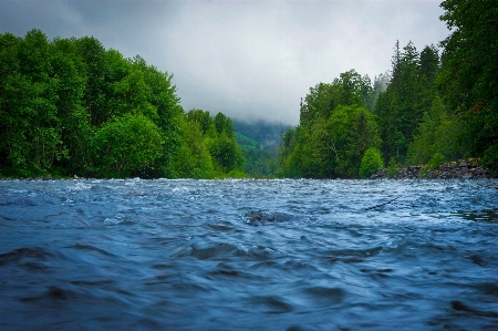 Landscape water nature forest Photo