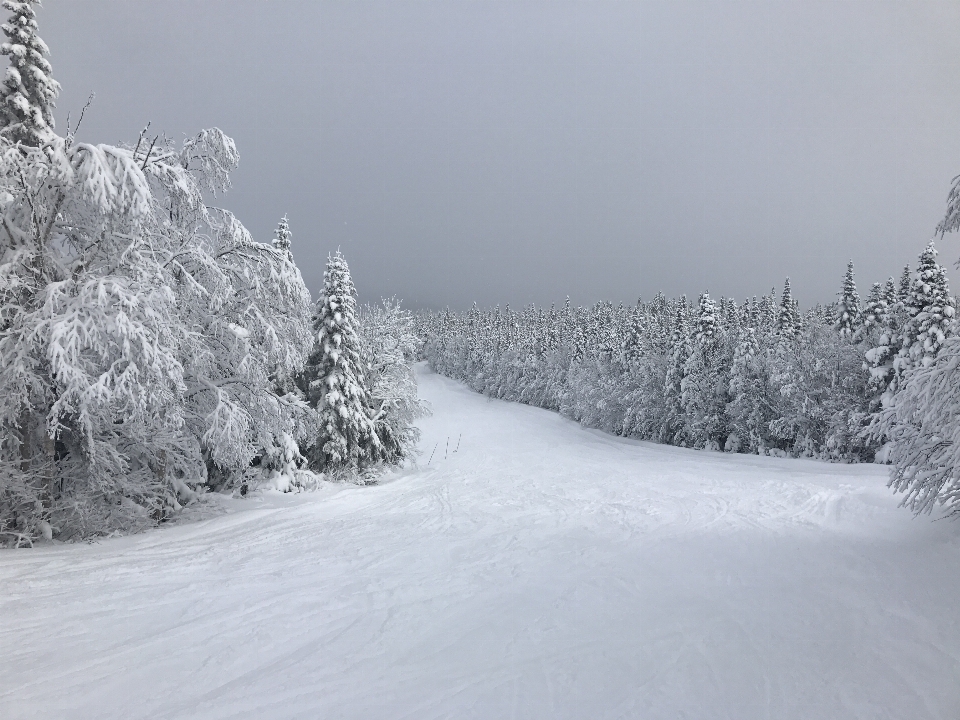 Nature montagne neige froid