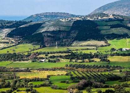 Landscape tree nature outdoor Photo