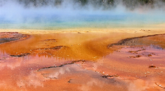 Landscape sea water marsh Photo