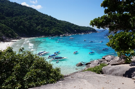 Beach sea coast water Photo