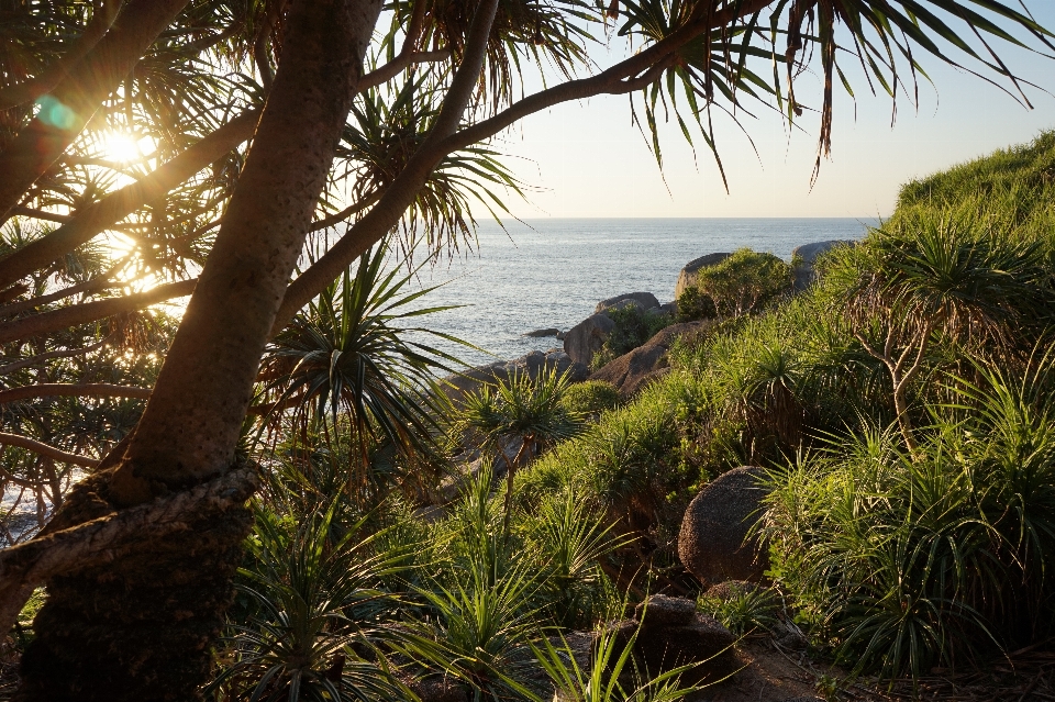 Beach landscape sea coast