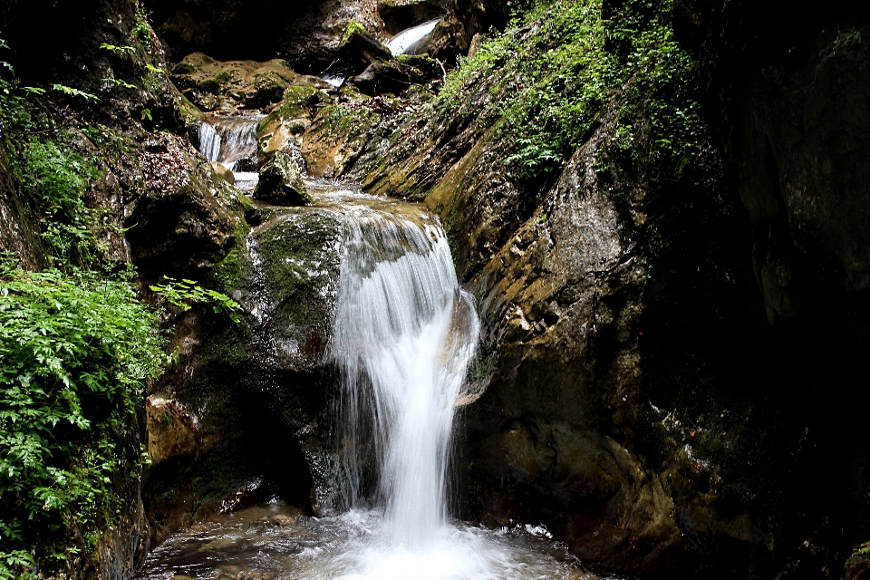 Paysage eau nature forêt