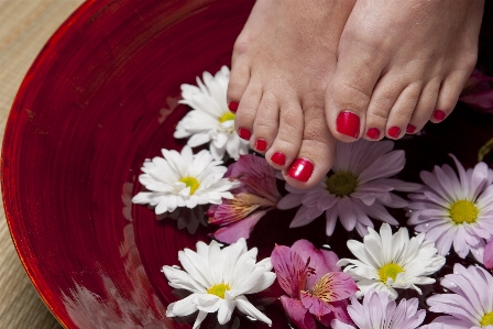 Hand plant woman flower Photo