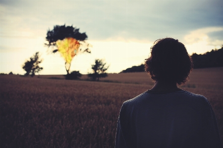 Man tree horizon silhouette Photo