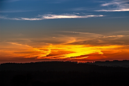 Landscape nature forest horizon Photo