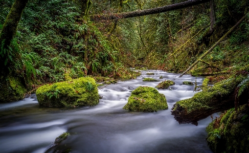 Landscape tree water nature Photo