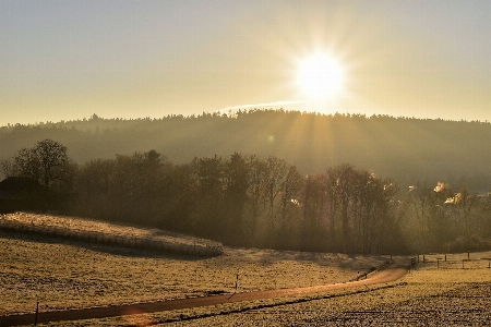 Landscape tree nature horizon Photo