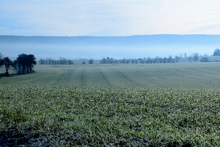 Landscape nature grass horizon Photo