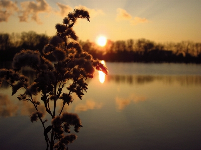 Landscape tree water nature Photo