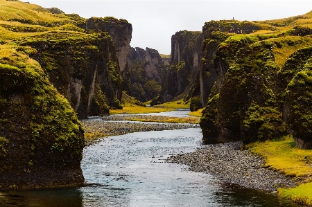 Landscape coast tree water Photo