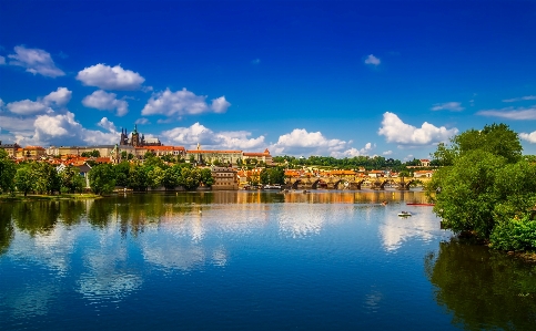 風景 木 水 建築 写真