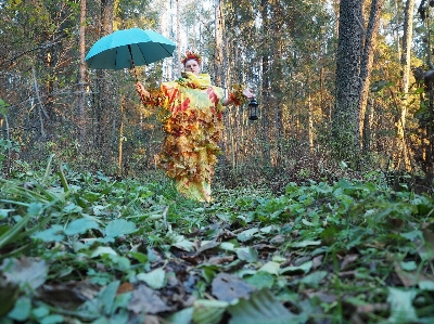 Foto Albero natura foresta selvaggia
