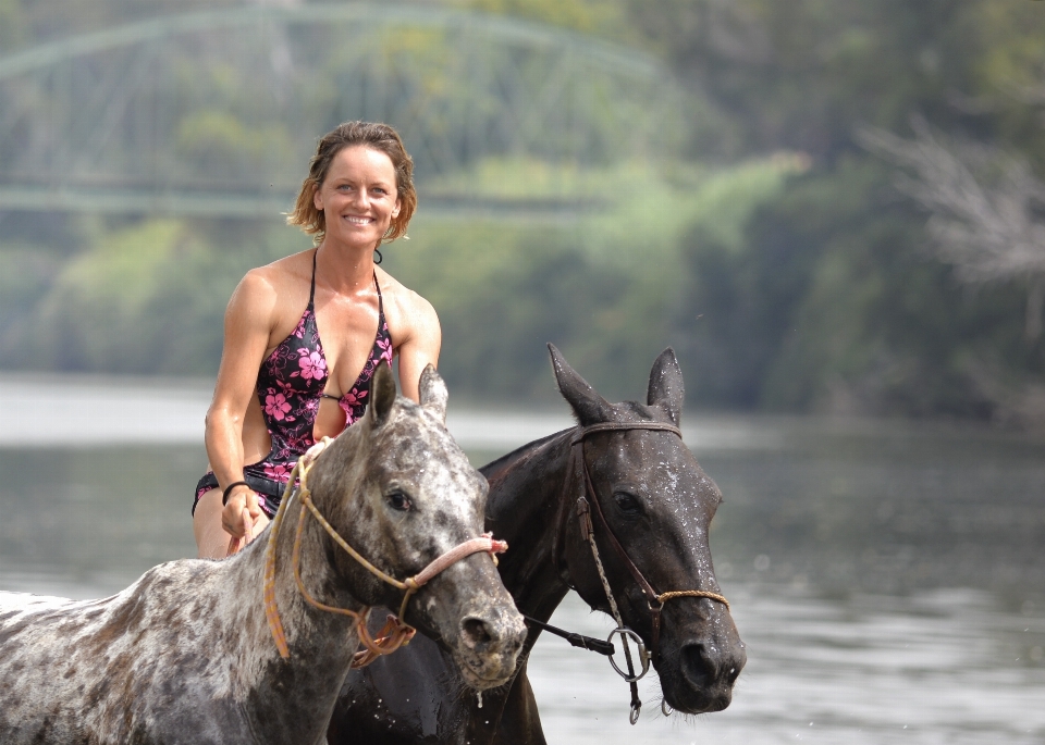 Frau fluss sommer pferd