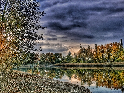 Landscape tree water nature Photo