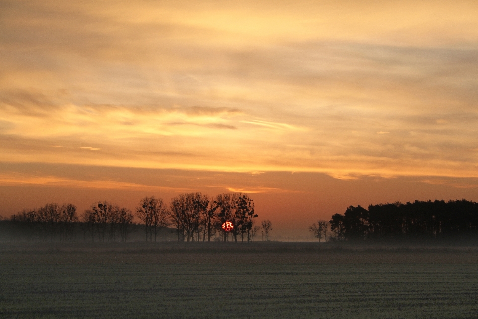 Landscape tree nature horizon