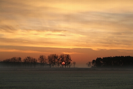 Landscape tree nature horizon Photo