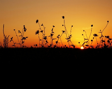 Landschaft natur draussen horizont Foto