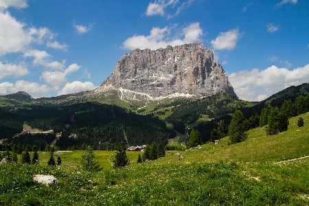 Landscape nature forest wilderness Photo