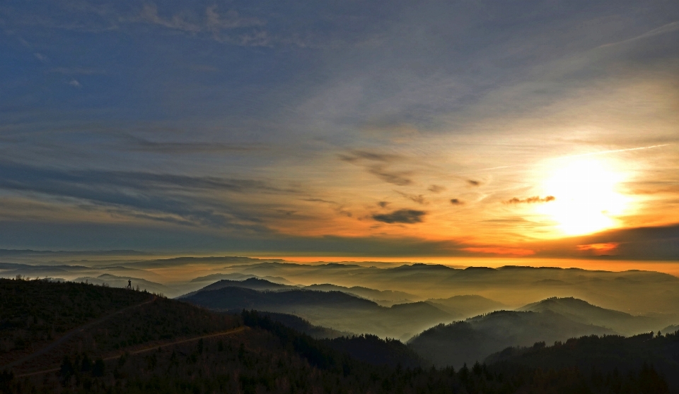 Landscape nature forest horizon