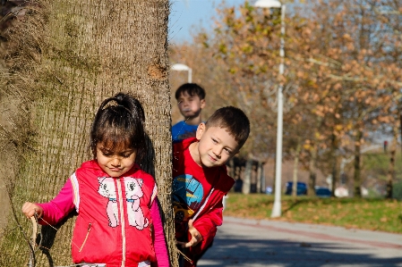 Photo Arbre personne personnes fille