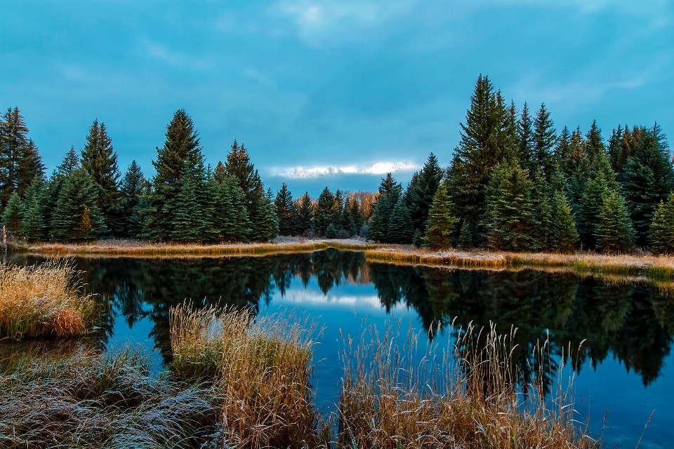 Landschaft baum wasser natur