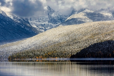 風景 水 自然 森 写真