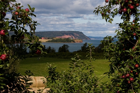 Landscape sea water nature Photo