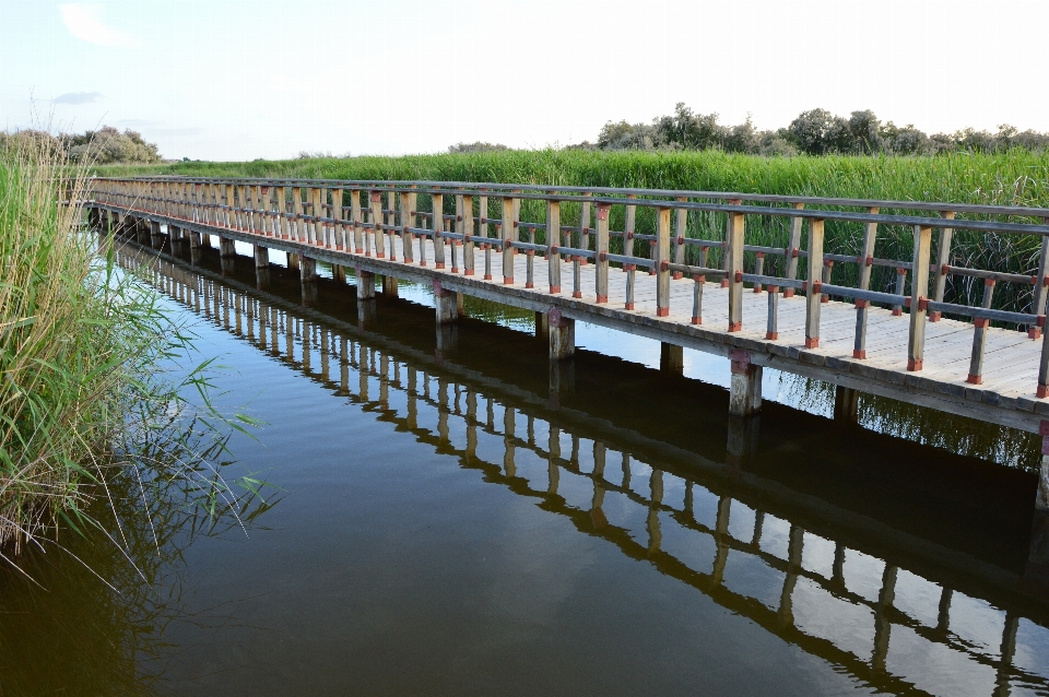 Eau pont rivière canal
