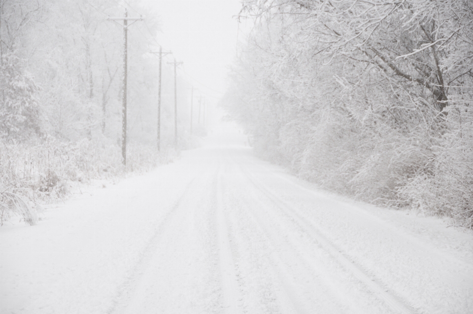 Snow cold winter black and white