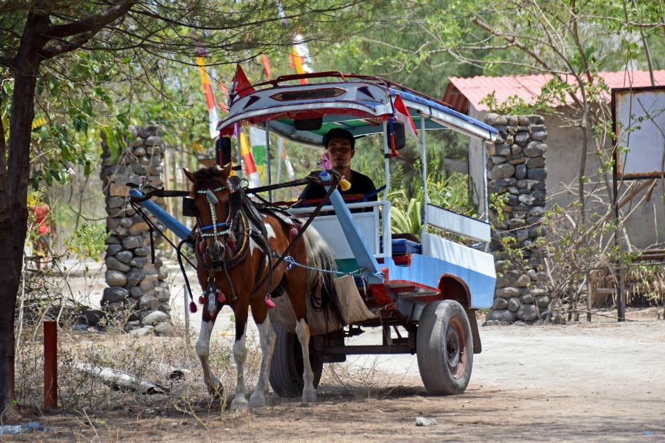 Cart travel transport vehicle