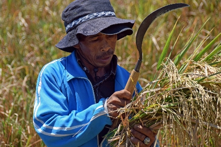 Man flower travel harvest Photo