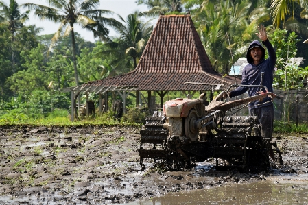 Track farm vehicle agriculture Photo