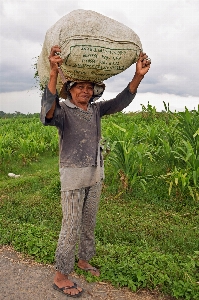 People woman farm travel Photo