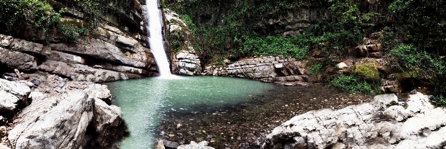 風景 水 自然 森 写真