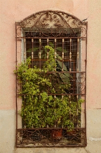 Fence architecture plant wood Photo