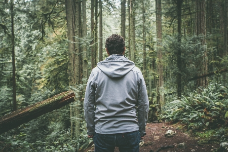 Foto Homem árvore natureza floresta