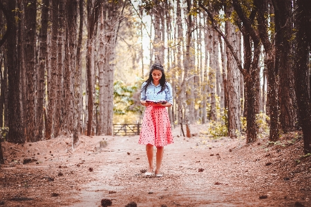 Tree nature forest person Photo