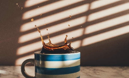 Table coffee light sunlight Photo