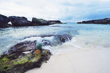 Beach landscape sea coast Photo