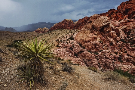 Landscape nature sand rock Photo