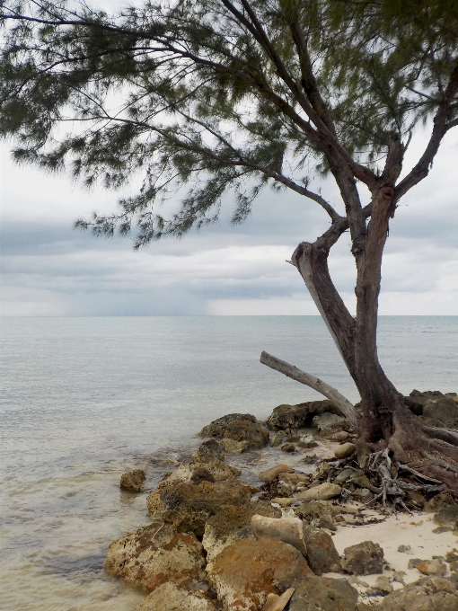 Beach landscape sea coast