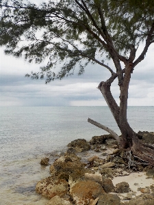 Beach landscape sea coast Photo