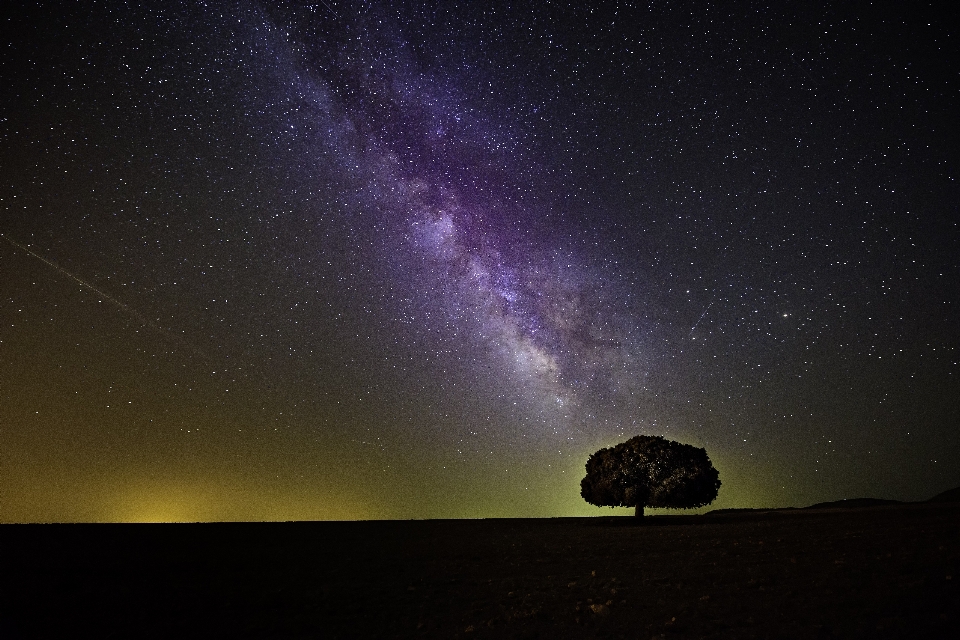 Baum silhouette himmel nacht