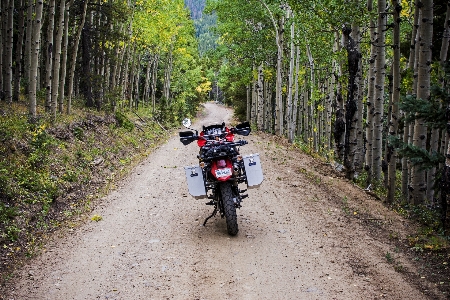 Road trail fall adventure Photo