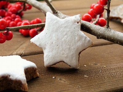 Plant star dish food Photo