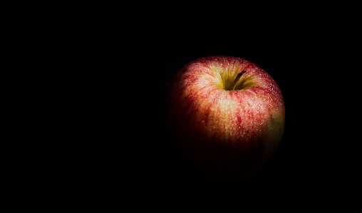 Apple 植物 写真撮影 フルーツ 写真